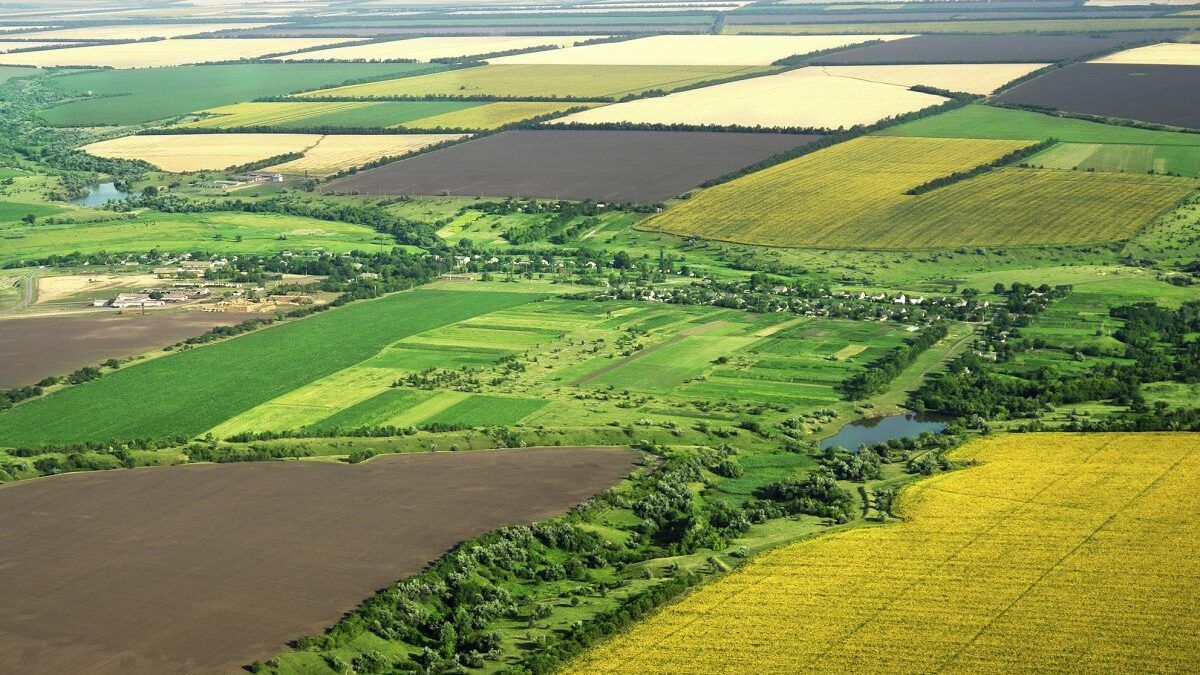 Західні області України стали лідерами за ціною сільгоспземель влітку