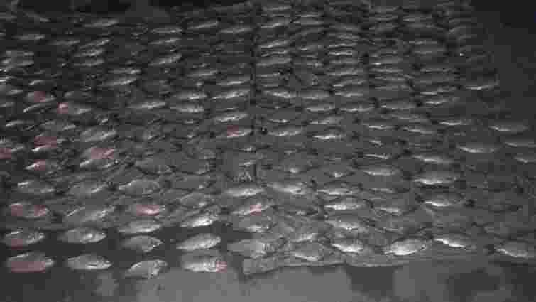 На Хмельниччині у авто браконьєра знайшли незаконно виловлену рибу на 1,1 млн грн