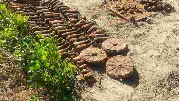 У Житомирі жінка під час копання картоплі знайшла арсенал мін Другої світової війни