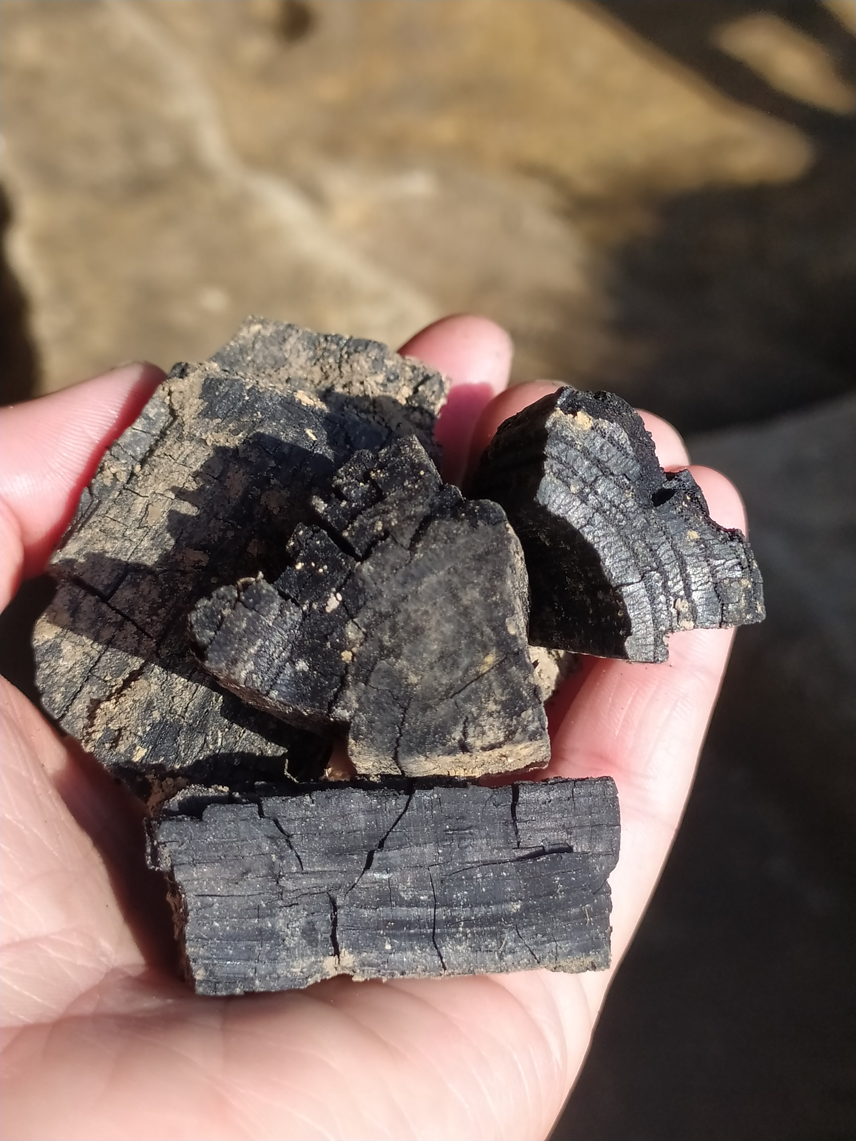 Обвуглене дерево з оборонної стіни