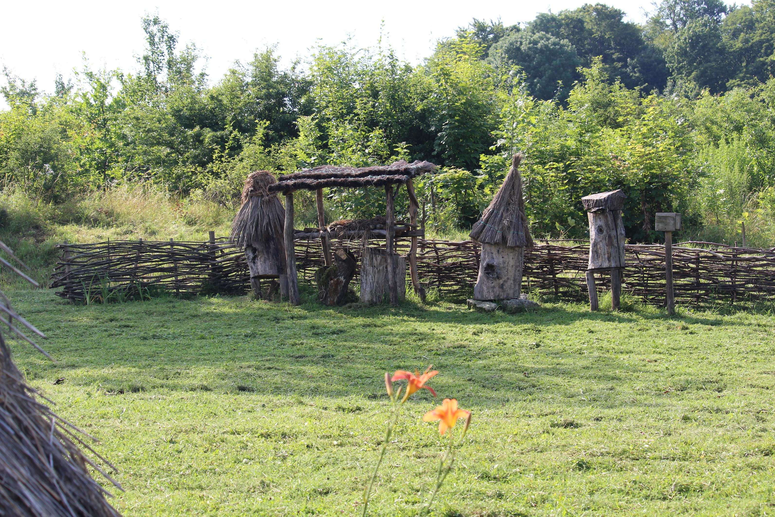 Борті, якими користувалися пасічники тисячолітньої давнини