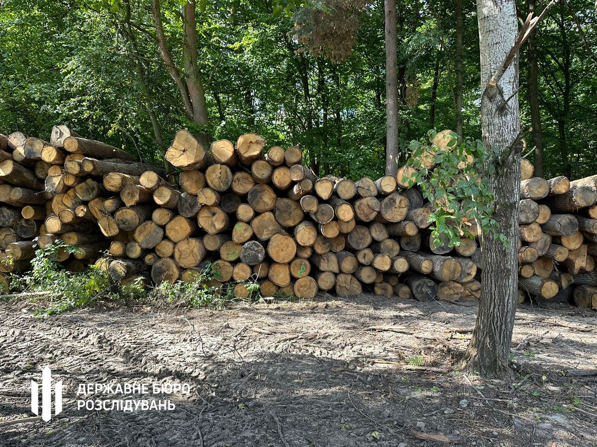 Трьох екс-лісівників з Волині підозрюють у вирубці лісу на 21 млн грн