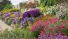 Ландшафтний дизайн квітників: 12 основних видів