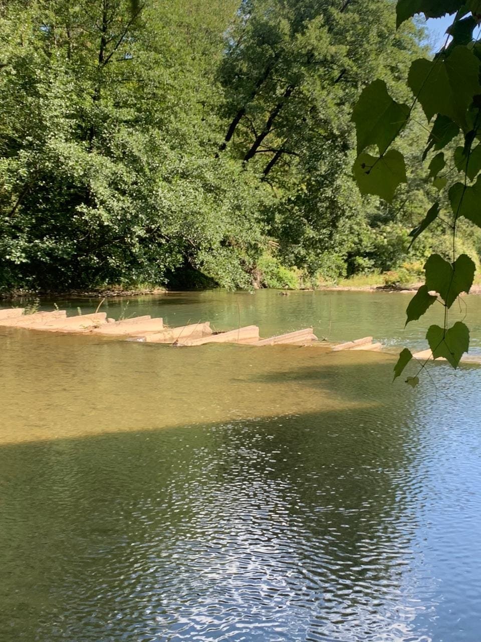 Басейн перегородив річку (Фото Держекоінспекції)