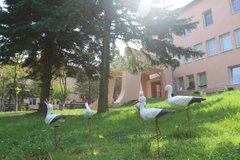 «Безбарʼєрна допомога для кожної»