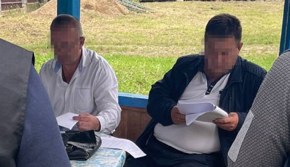 Директора військового лісгоспу з Львівщини затримали за масштабні рубки
