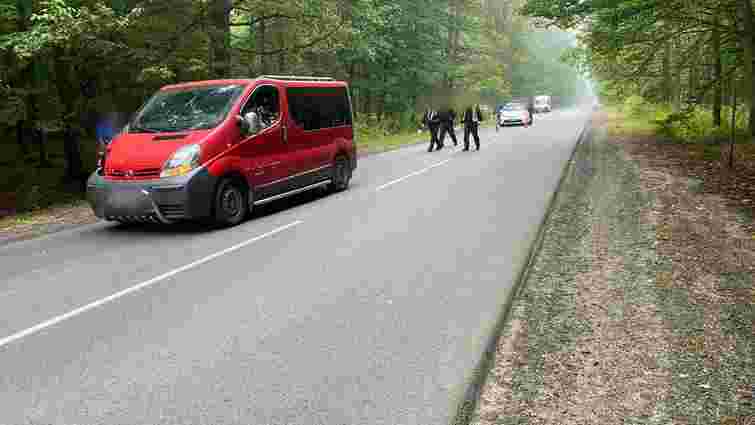Водій мікроавтобуса на смерть збив 47-річну пішохідку неподалік Луцька