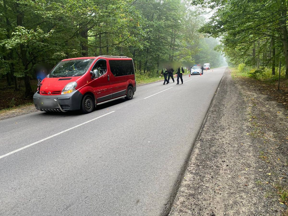 Водій мікроавтобуса на смерть збив 47-річну пішохідку неподалік Луцька