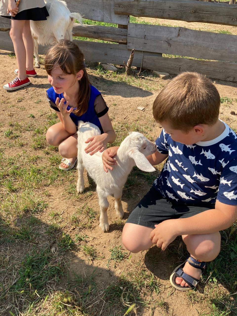 Екскурсії на фермі