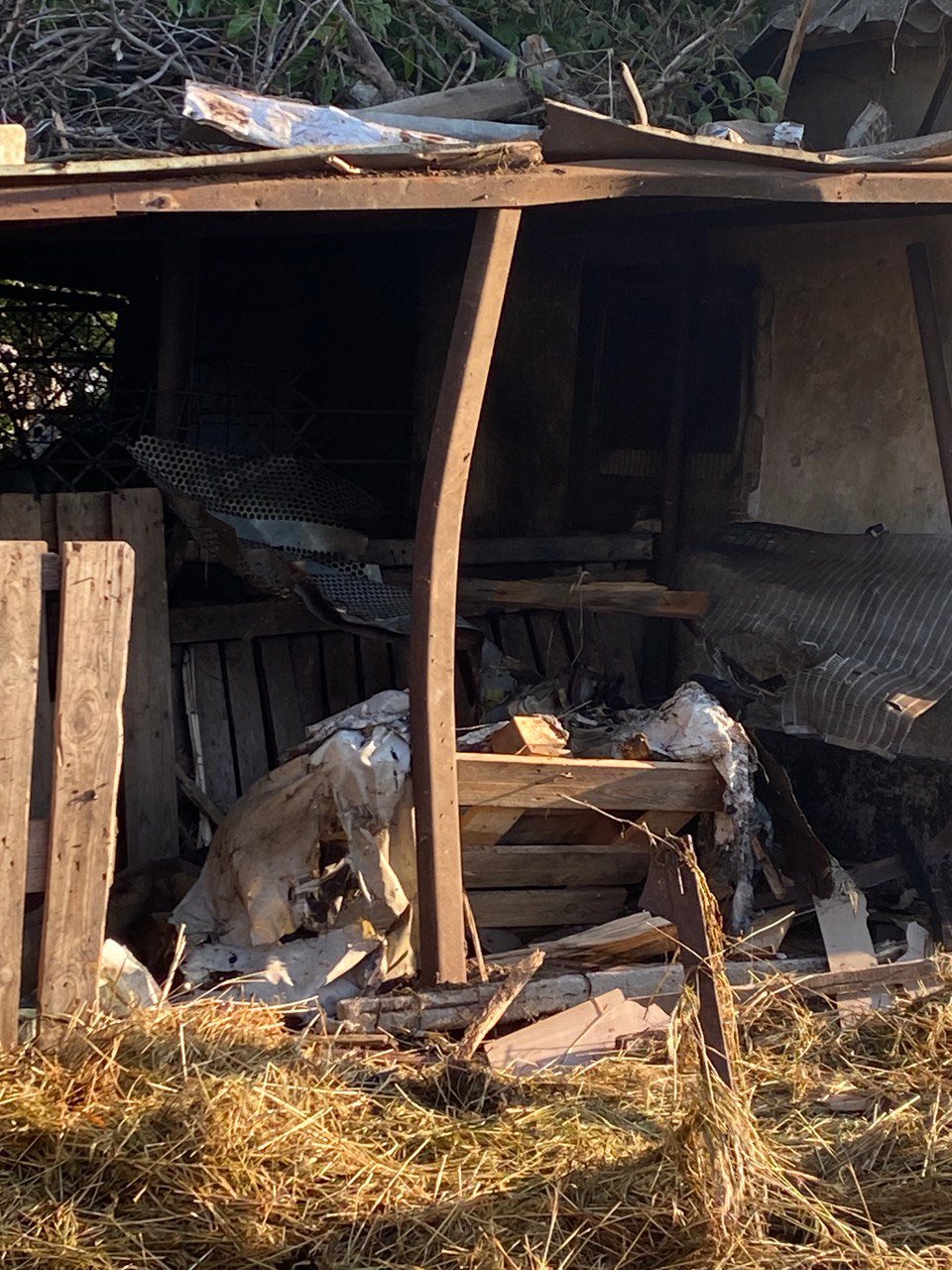 Наслідки прильоту російського снаряду на ферму