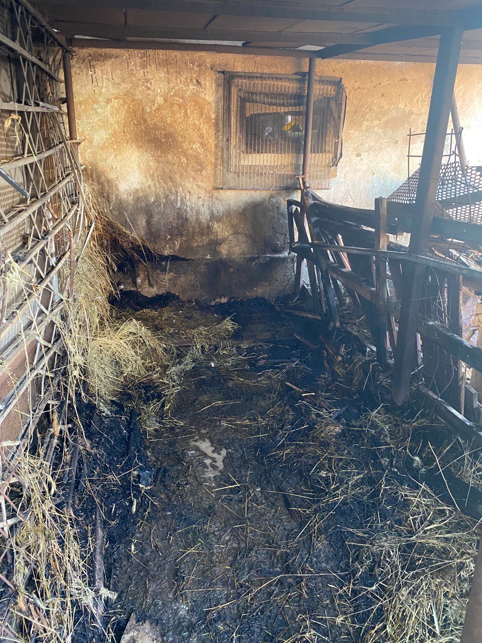 Наслідки прильоту російського снаряду на ферму