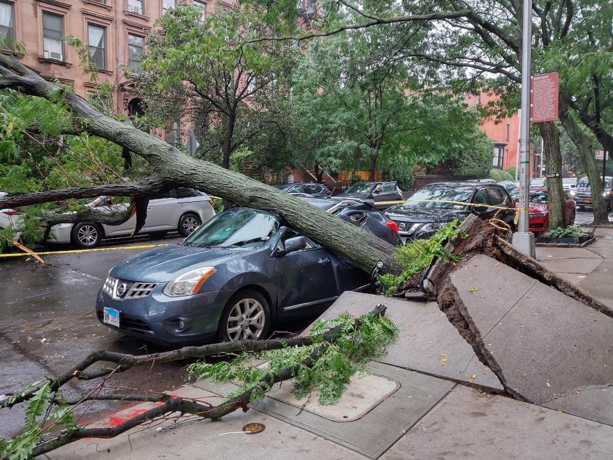 фото з відкритих джерел