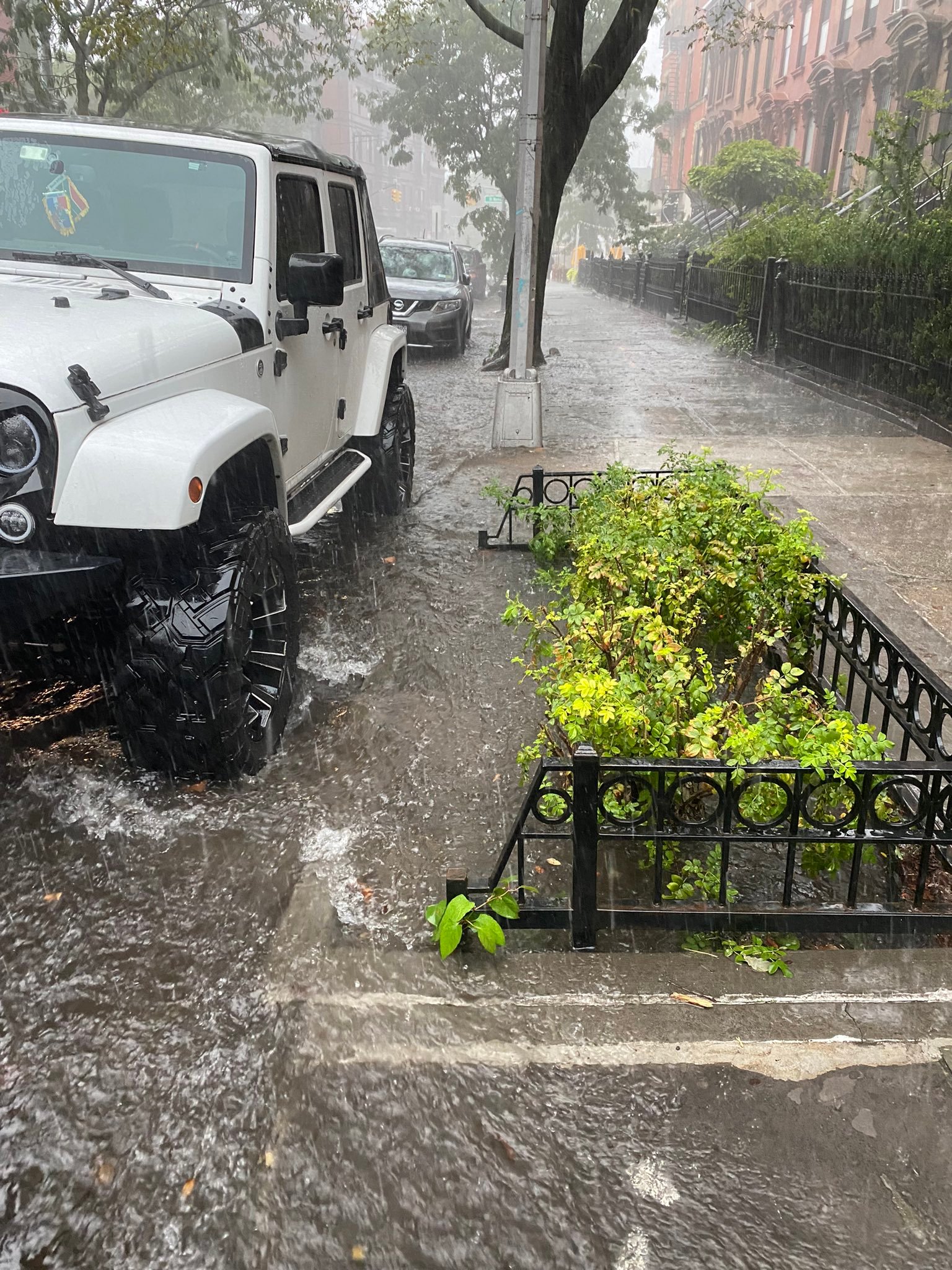 фото з відкритих джерел