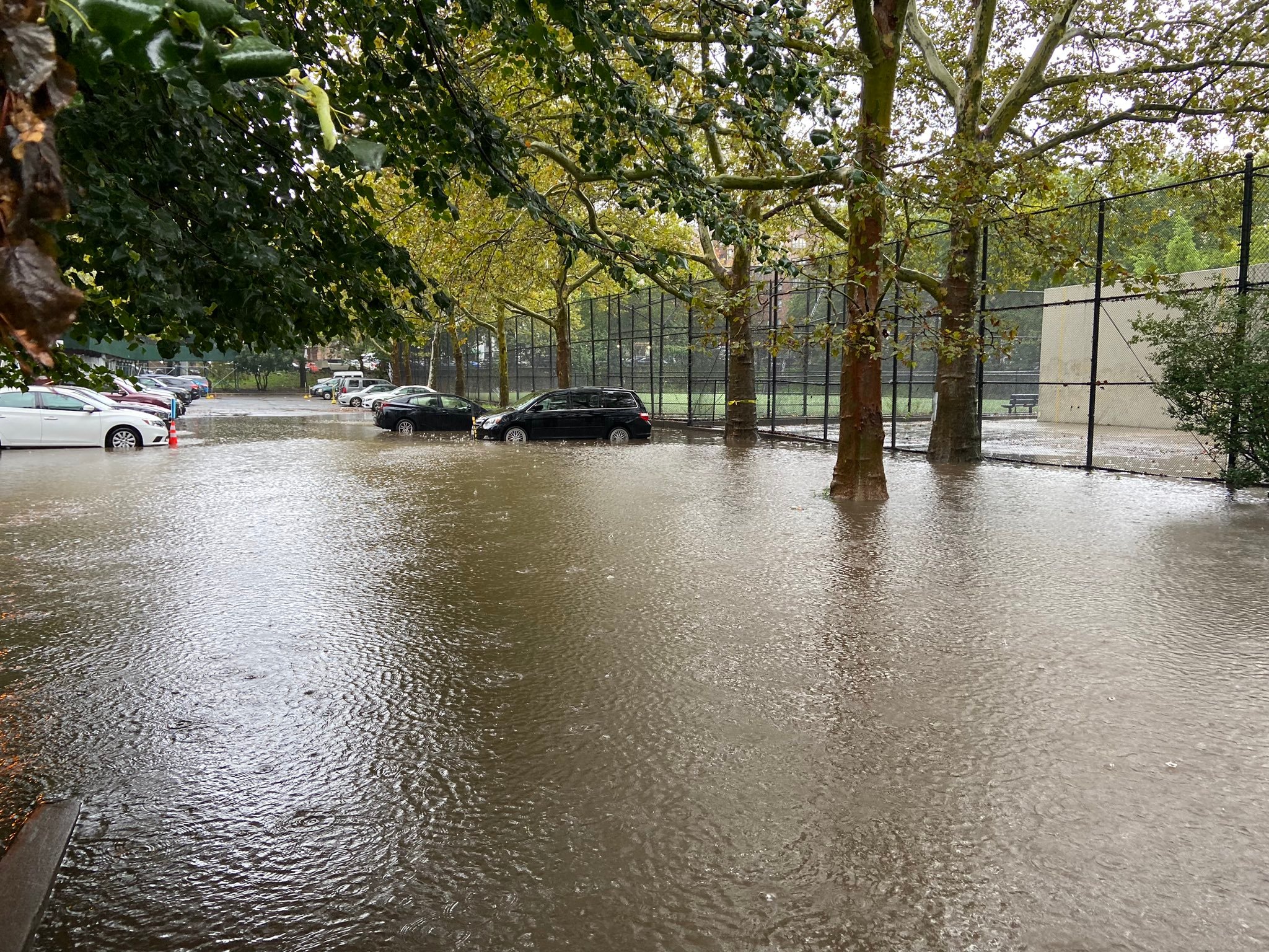фото з відкритих джерел