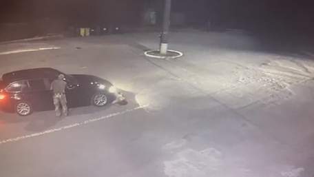 На Закарпатті винесли вирок жінці за спробу вивезти чоловіка за кордон у багажнику