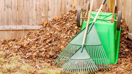 Посівний календар на жовтень 2023 року: що робити та садити на городі