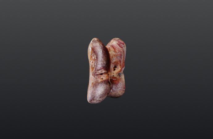 Кістка тварини, яка використовувалася для гри чи ворожіння