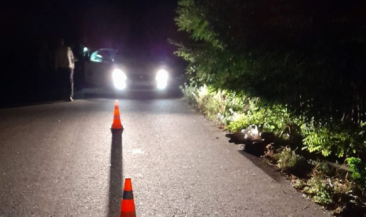 Двоє дітей отримали важкі травми під час падіння з підводи на Львівщині