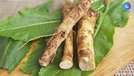 Коли та як правильно викопувати хрін, щоб він був гострим: поради