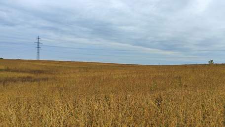 Львівська мерія виявила захоплення 50 га землі на околиці міста