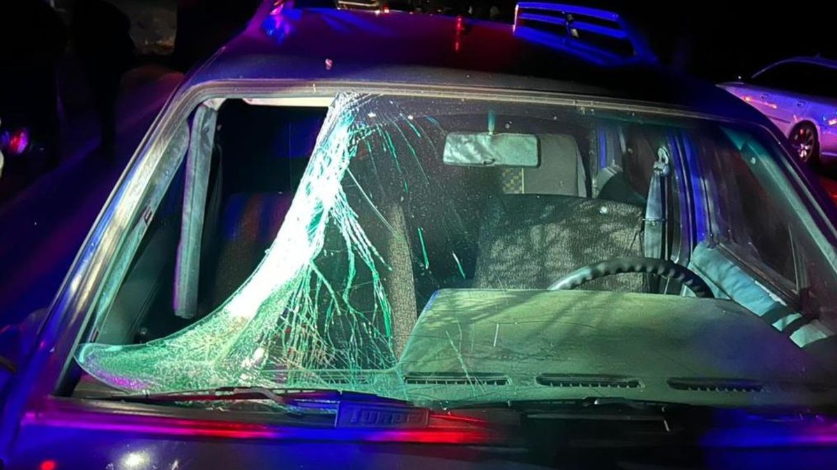 У ДТП на Львівщині загинув 62-річний мешканець Стрия
