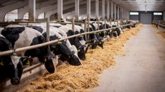 «У деокуповані території ніхто не хоче багато інвестувати»