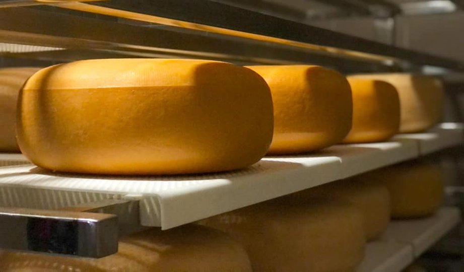 Ферма виготовляє трверді сорти сирів