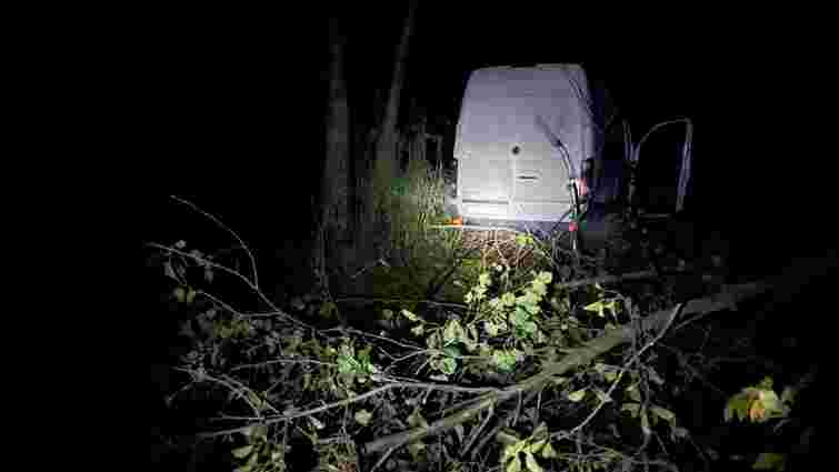 На Рівненщині п'яний водій мікроавтобуса заїхав у кущі, втікаючи від поліції