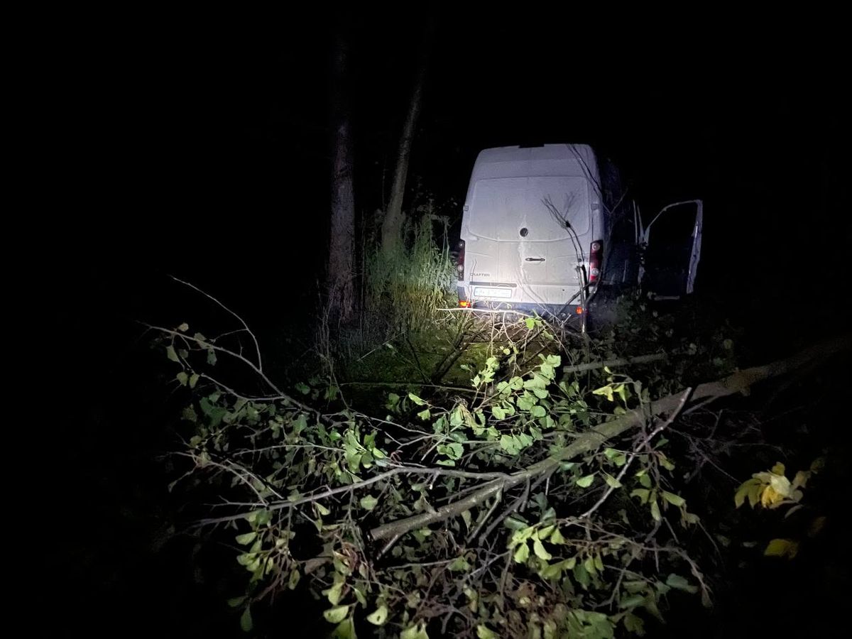 На Рівненщині п'яний водій мікроавтобуса заїхав у кущі, втікаючи від поліції