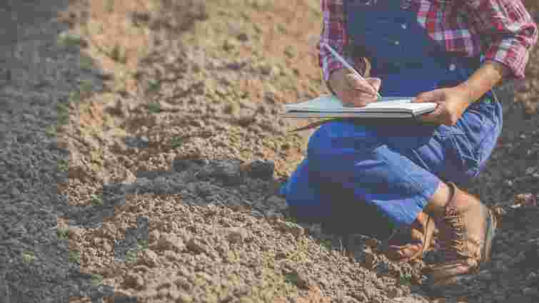 Як доглядати за ґрунтом восени, щоб покращити родючість: 7 кроків