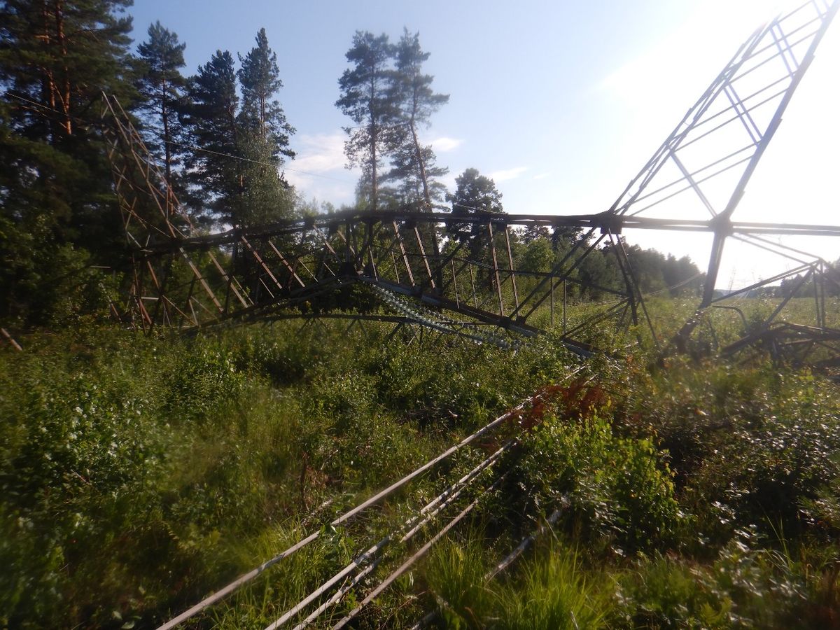 Збирачі металу порізали на брухт електроопору поблизу Львова