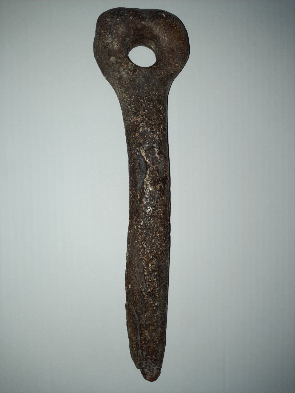 Скіпетр вождів первісних людей. Фото ZAXID.NET