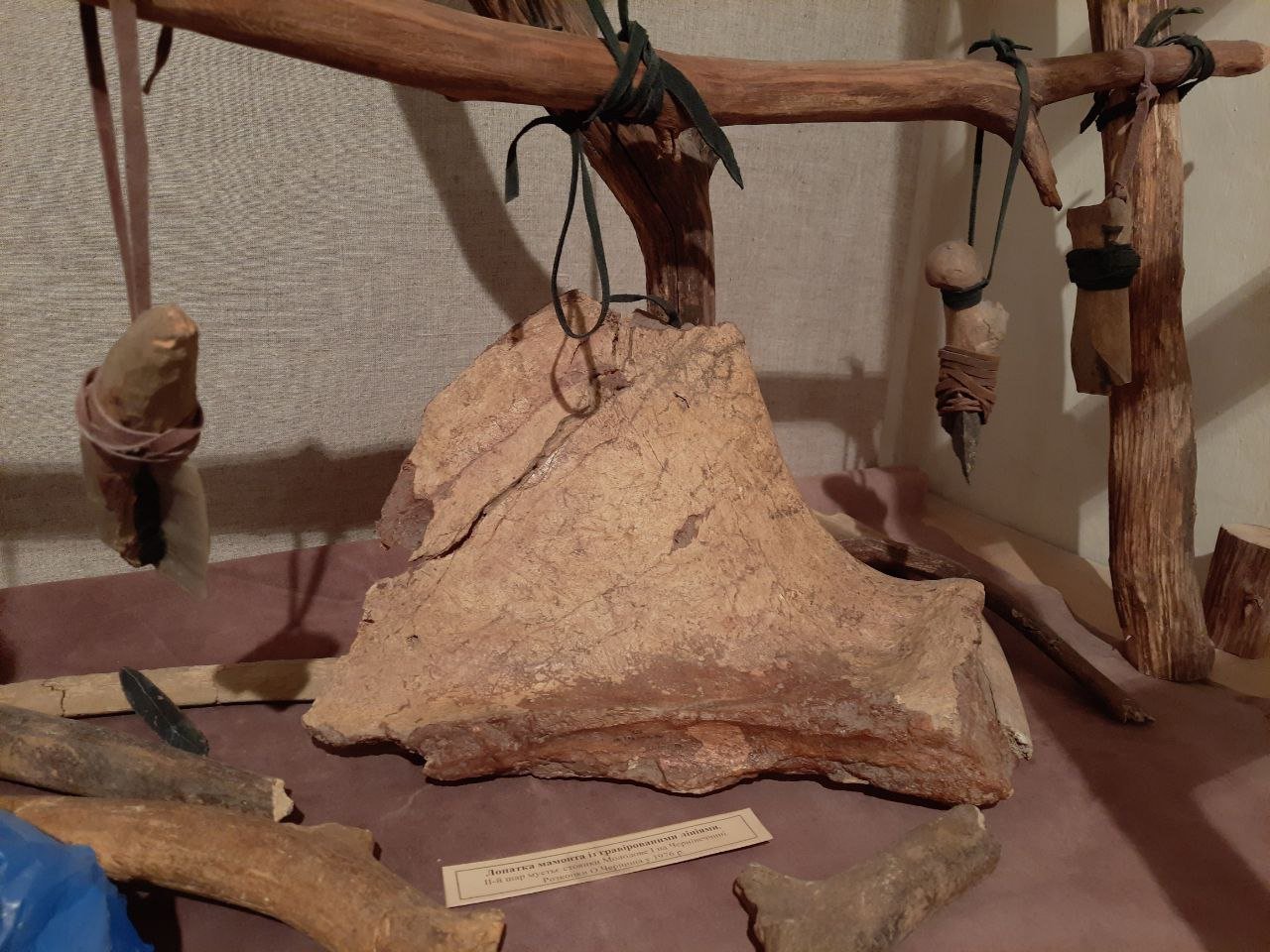 Лопатка мамонта із накресленою сценою полювання. Фото ZAXID.NET