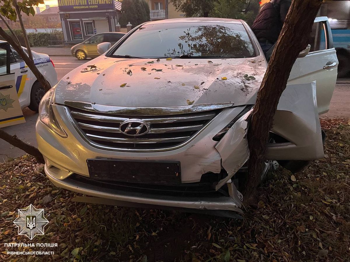 У Рівному п'яний водій в'їхав у дерево і заснув біля автомобіля