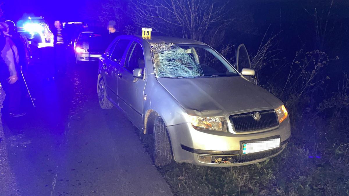 Біля Брюховичів водій автівки збив літню пару, є загиблі