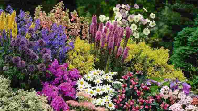 Як власноруч створити квіткову клумбу: поради для садівників-початківців