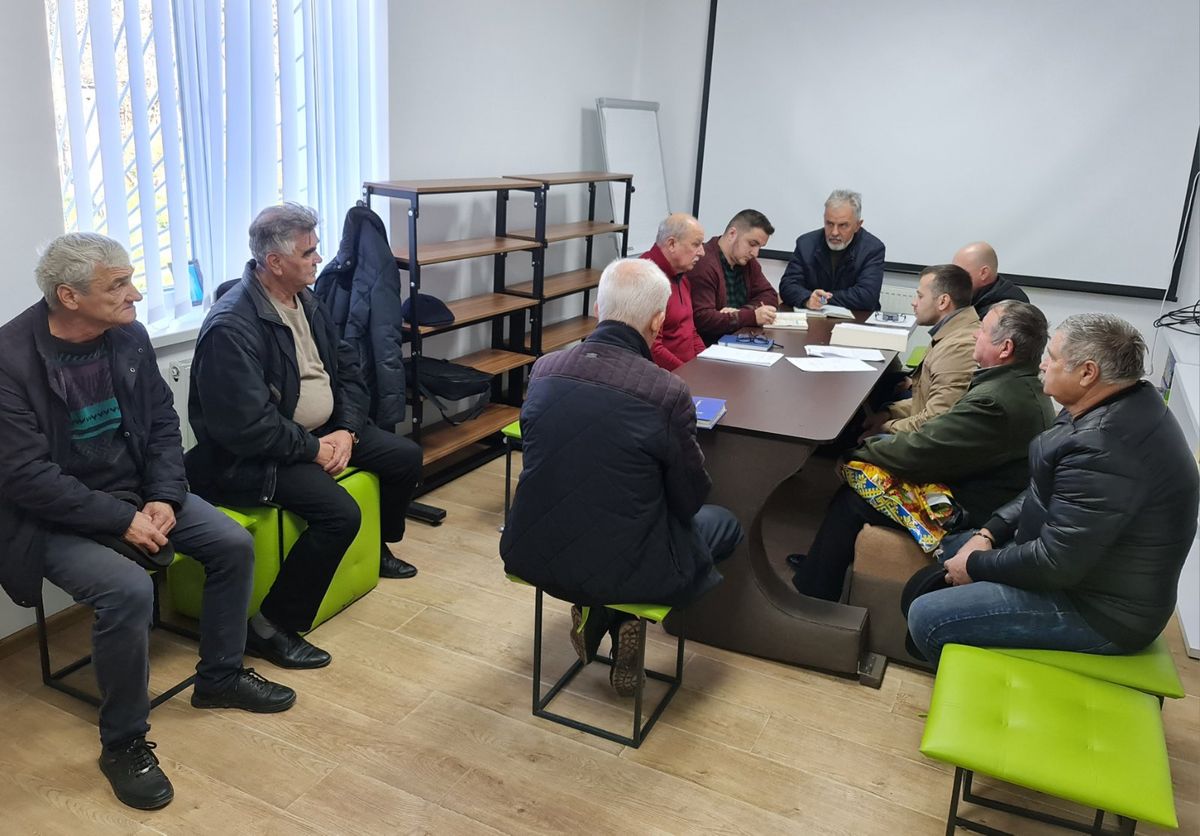У селі на Прикарпатті оголосили карантин через виявлений у кота сказ