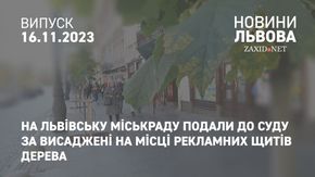 На Львівську міськраду подали до суду за висаджені на місці рекламних щитів дерева