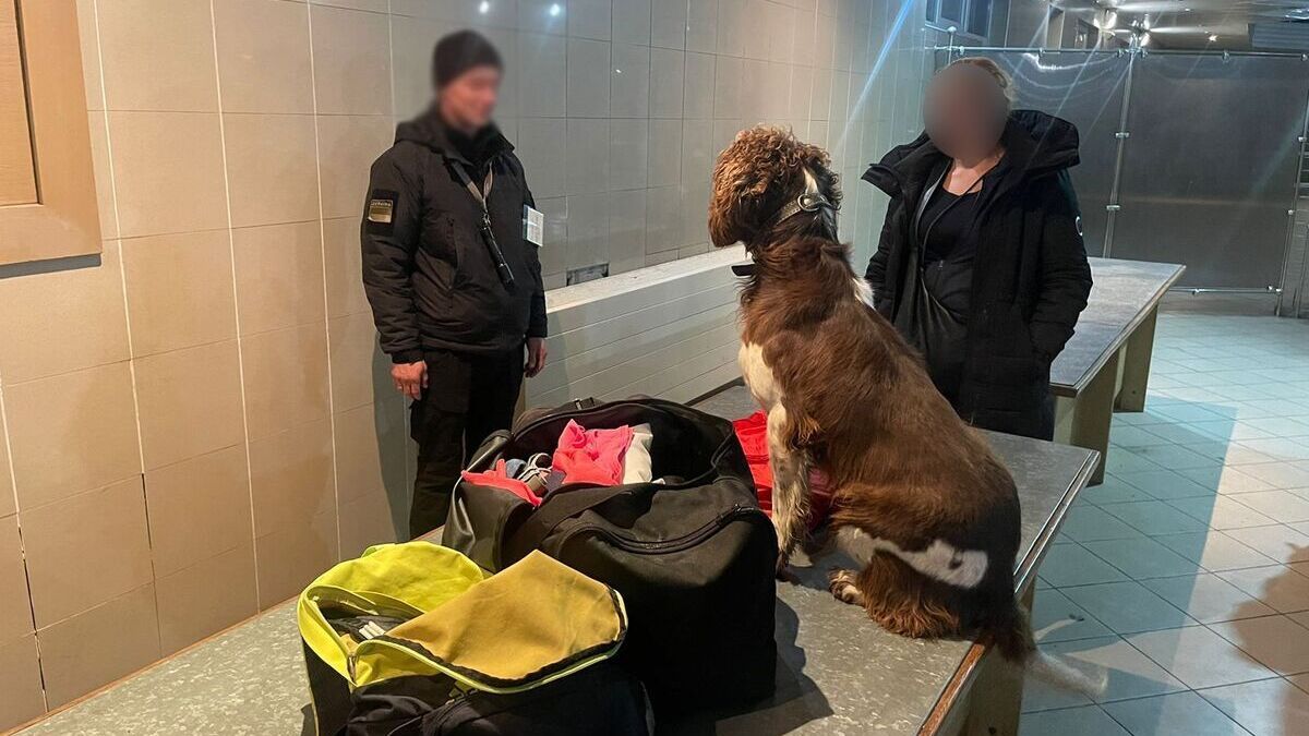 40-річна громадянка Чехії намагалась ввезти в Україну гашиш і марихуану