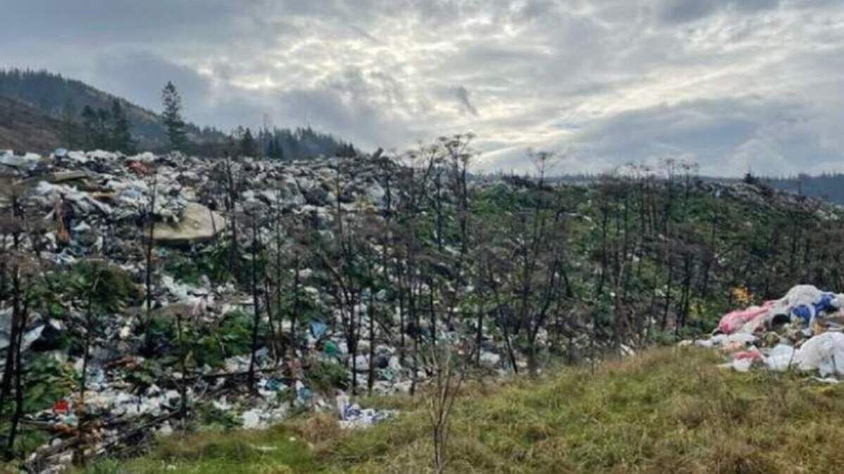 Сміттєвий полігон у Славську за 46 млн грн реконструює скандальний підприємець з Донецька