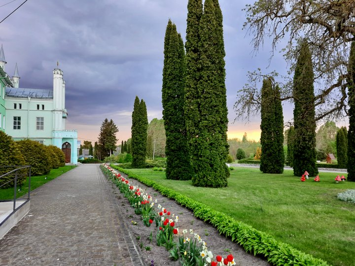 Біля палацу є дендропарк (фото ZAXID.NET)