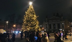 У Львові розповіли, якою буде цьогорічна різдвяна ялинка