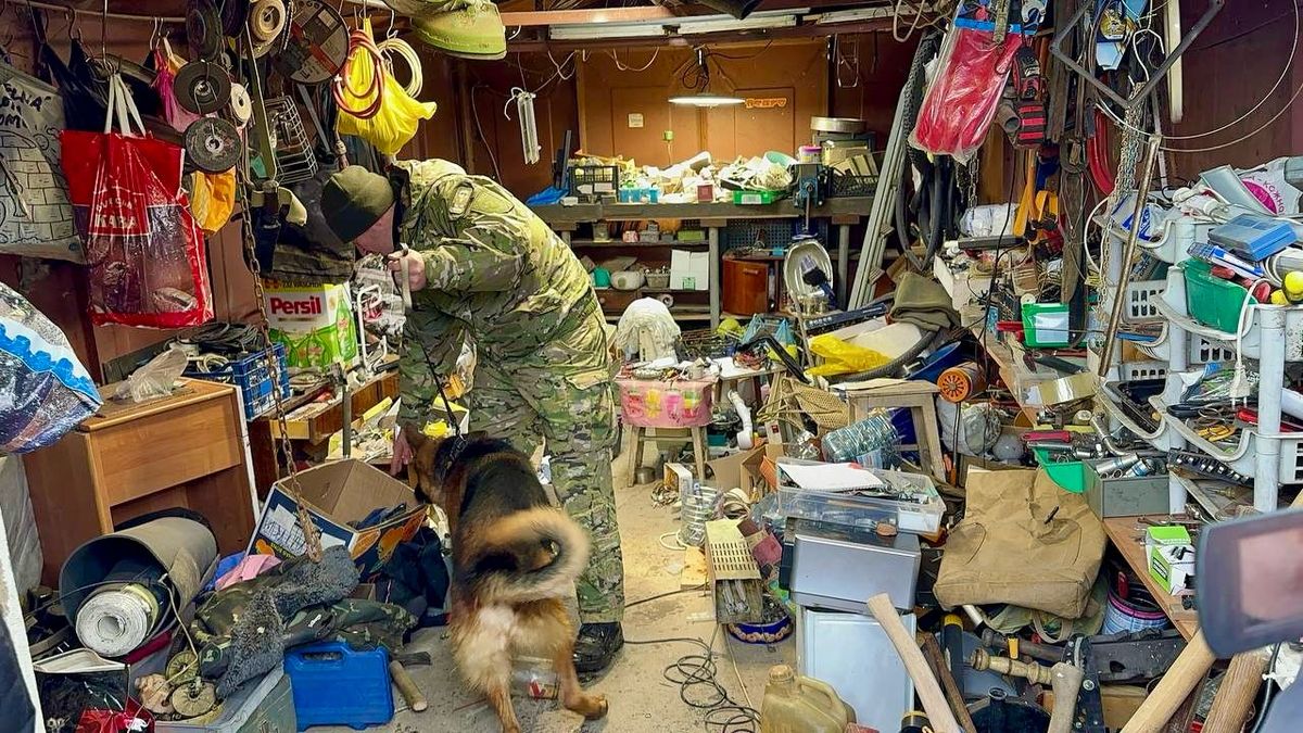 На Закарпатті затримали групу наркоторговців, щомісячний дохід яких сягав 1,5 млн грн