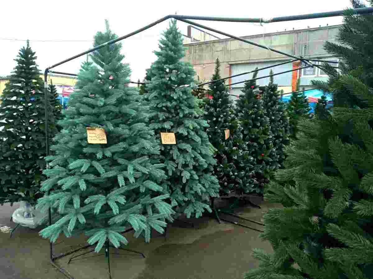 На території Боздоського парку 6-30 грудня буде ялинковий ярмарок