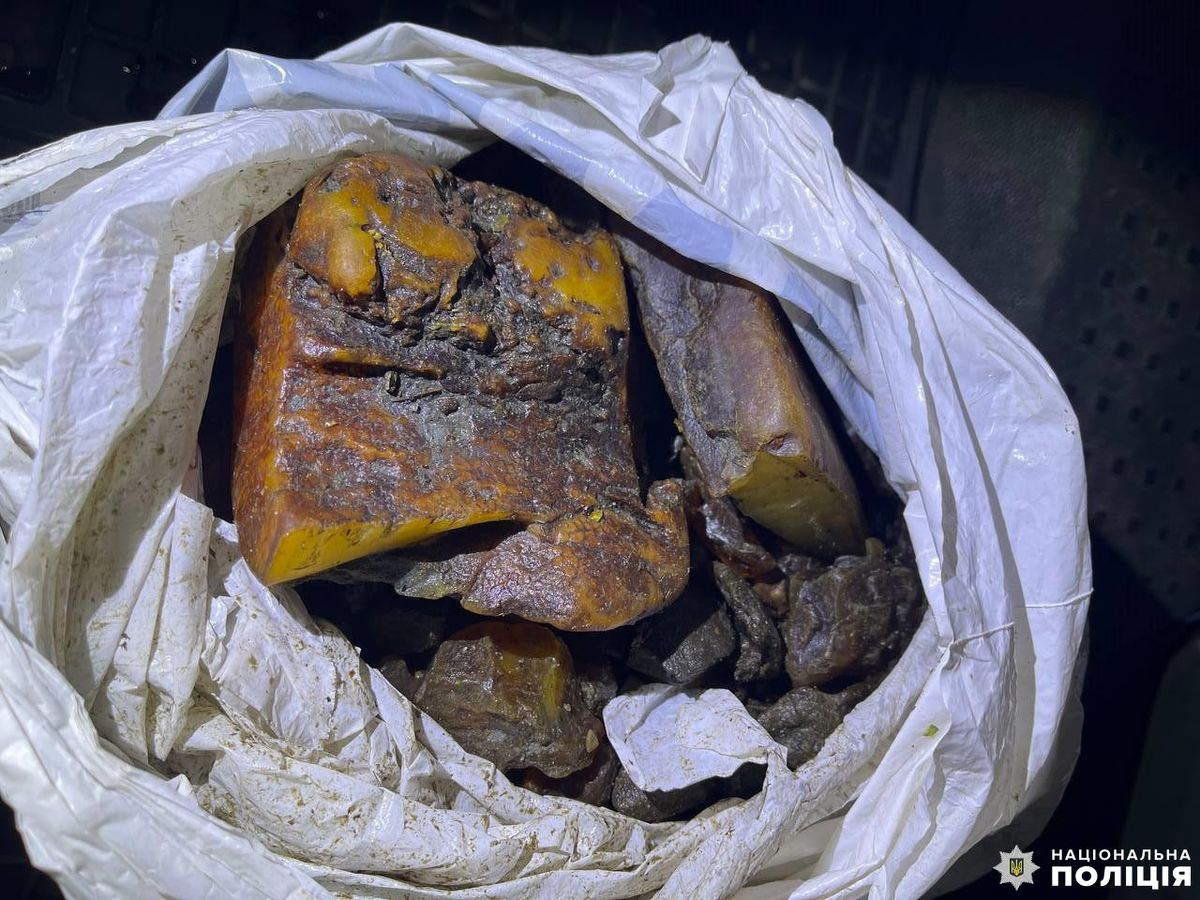 Рівненська поліція виявила пакет з бурштином у зупиненого за порушення ПДР водія