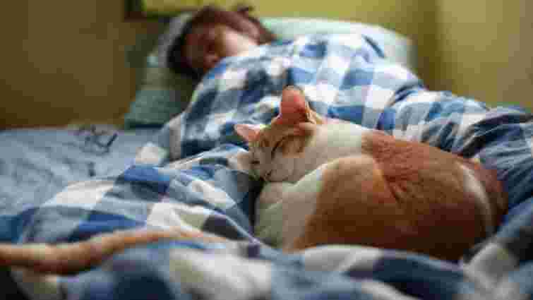 Що означає, якщо кіт спить поряд з людиною