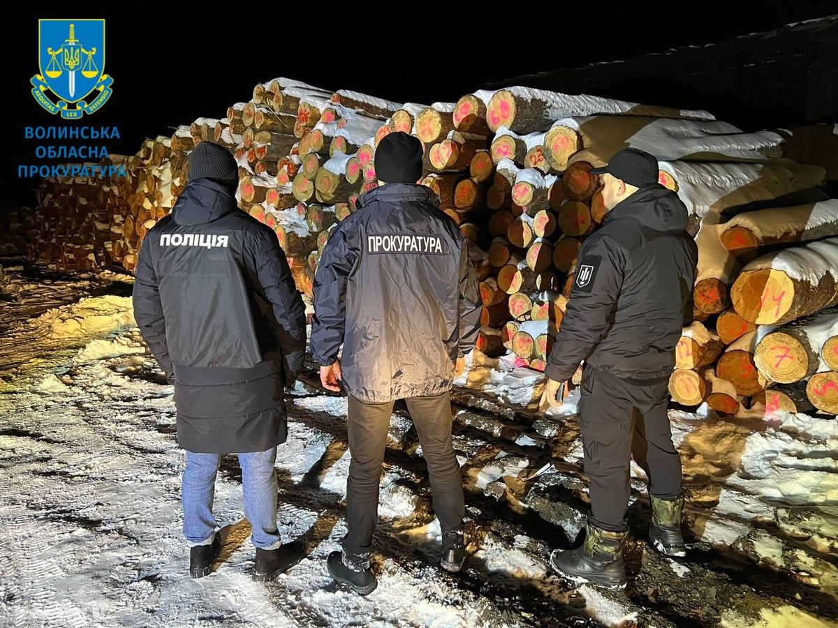 На Волині поліція викрила схему з масштабного розкрадання лісу