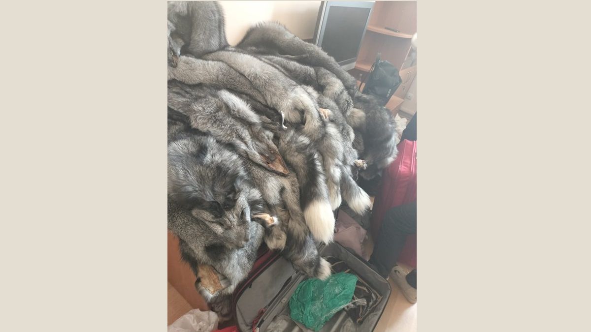 На Львівщині прикордонники затримали двох жінок з контрабандою хутра