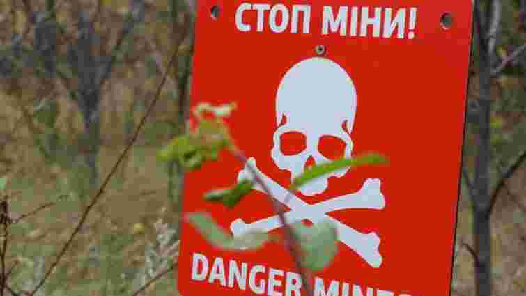На Миколаївщині легковик підірвався на протипіхотній міні