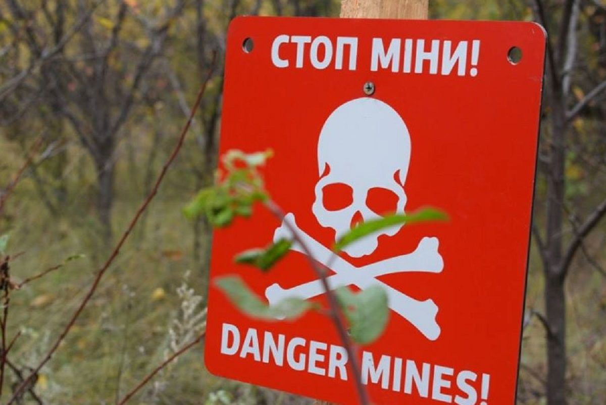 На Миколаївщині легковик підірвався на протипіхотній міні